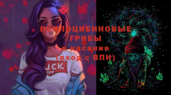 ГАЛЛЮЦИНОГЕННЫЕ ГРИБЫ Вязники