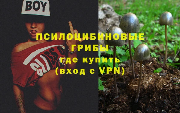 COCAINE Горно-Алтайск