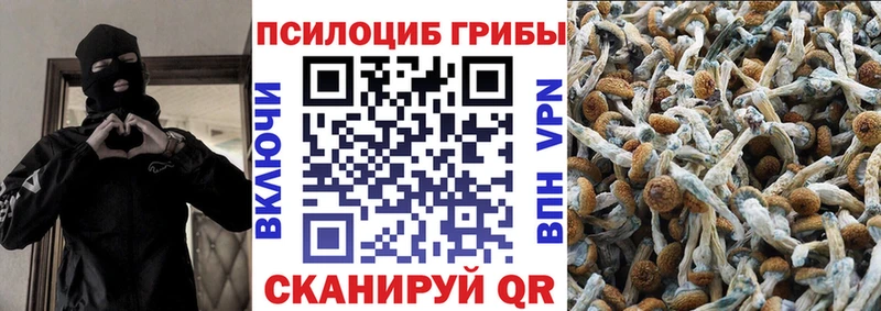 Галлюциногенные грибы Cubensis  Керчь 